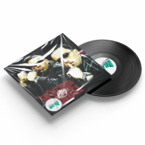 Paleta x Bucovina (Remix) - Wisin & Yandel Ft Daddy Yankee (Bayne Mashup 124Bpm)