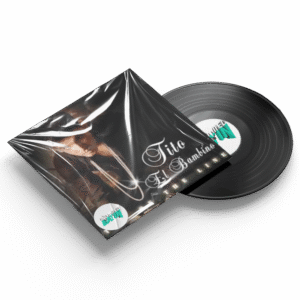 Flow Natural - Tito El Bambino Ft Don Omar (Bayne Acapella Intro 102Bpm)