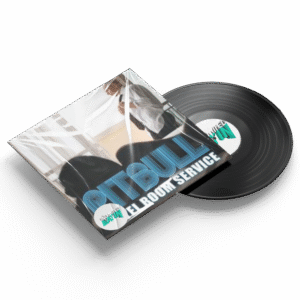 Hotel Room Service - Pitbull (Bayne Transition 100-126Bpm)